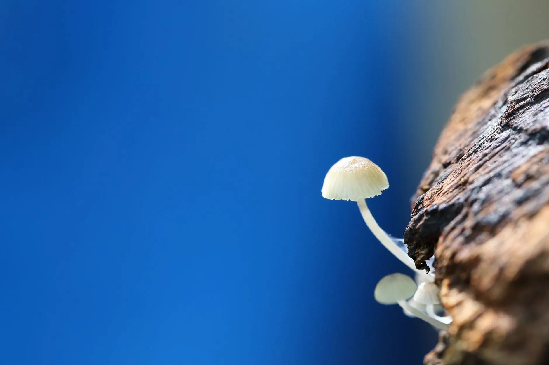 预算管理与利润分析软件光盘功能对比解析