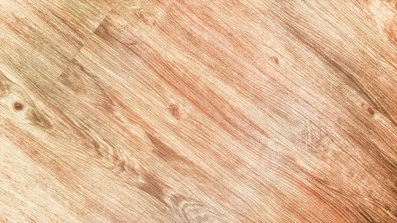 预算管理软件与财务分析软件光盘的协同应用技术解析